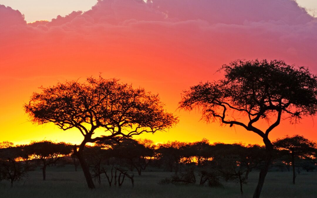What’s Driving Tourism Growth in East Africa?