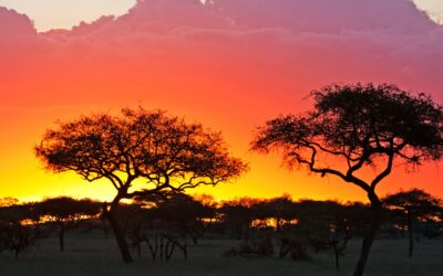 What’s Driving Tourism Growth in East Africa?